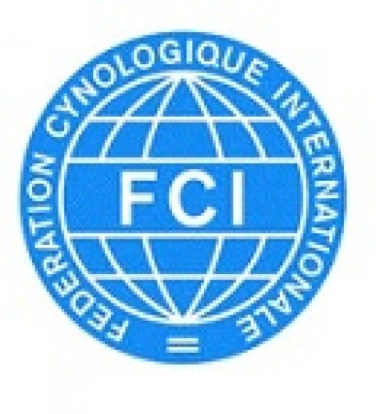 logofci.jpg